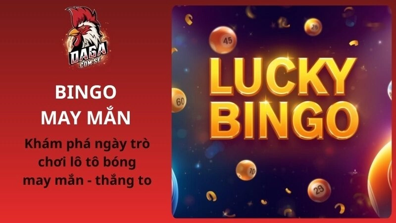Bingo may mắn